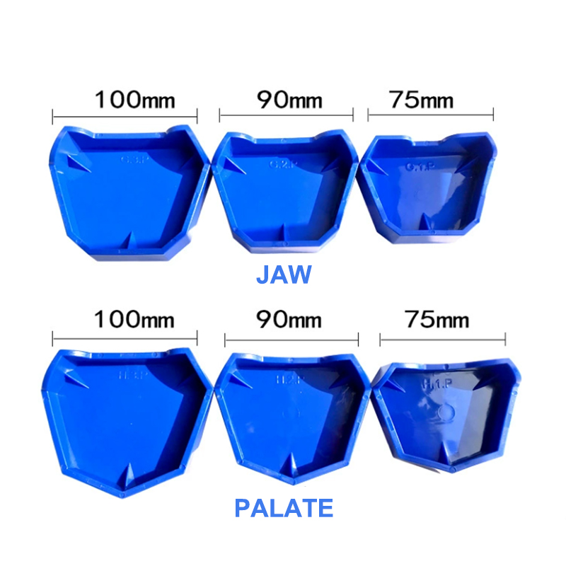 Juego de Base de modelo Dental - Model Kit Tool reseña y precio