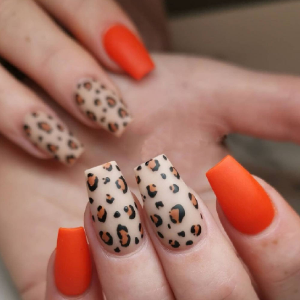 Pegatinas de leopardo para dec - Waterslide Decal Paper reseña y precio