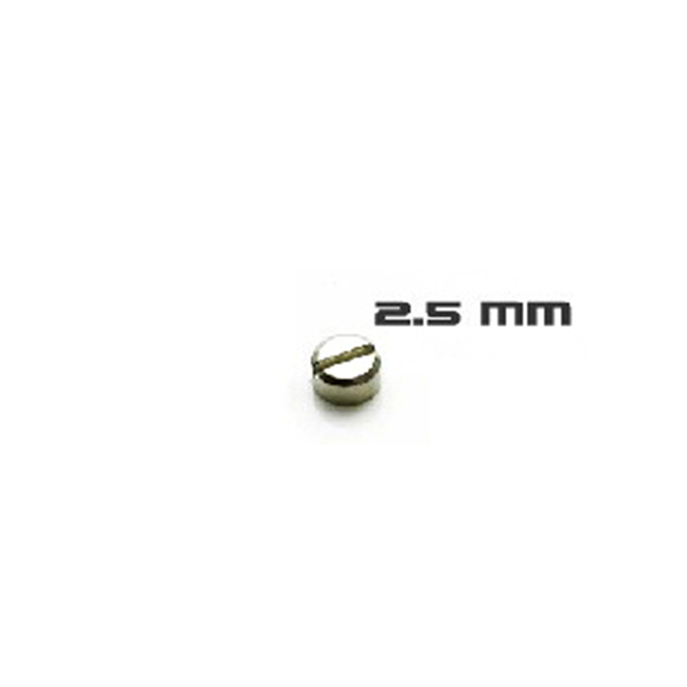 Tornillos Blindados de 30 piez - Gundam Model Mg reseña y precio