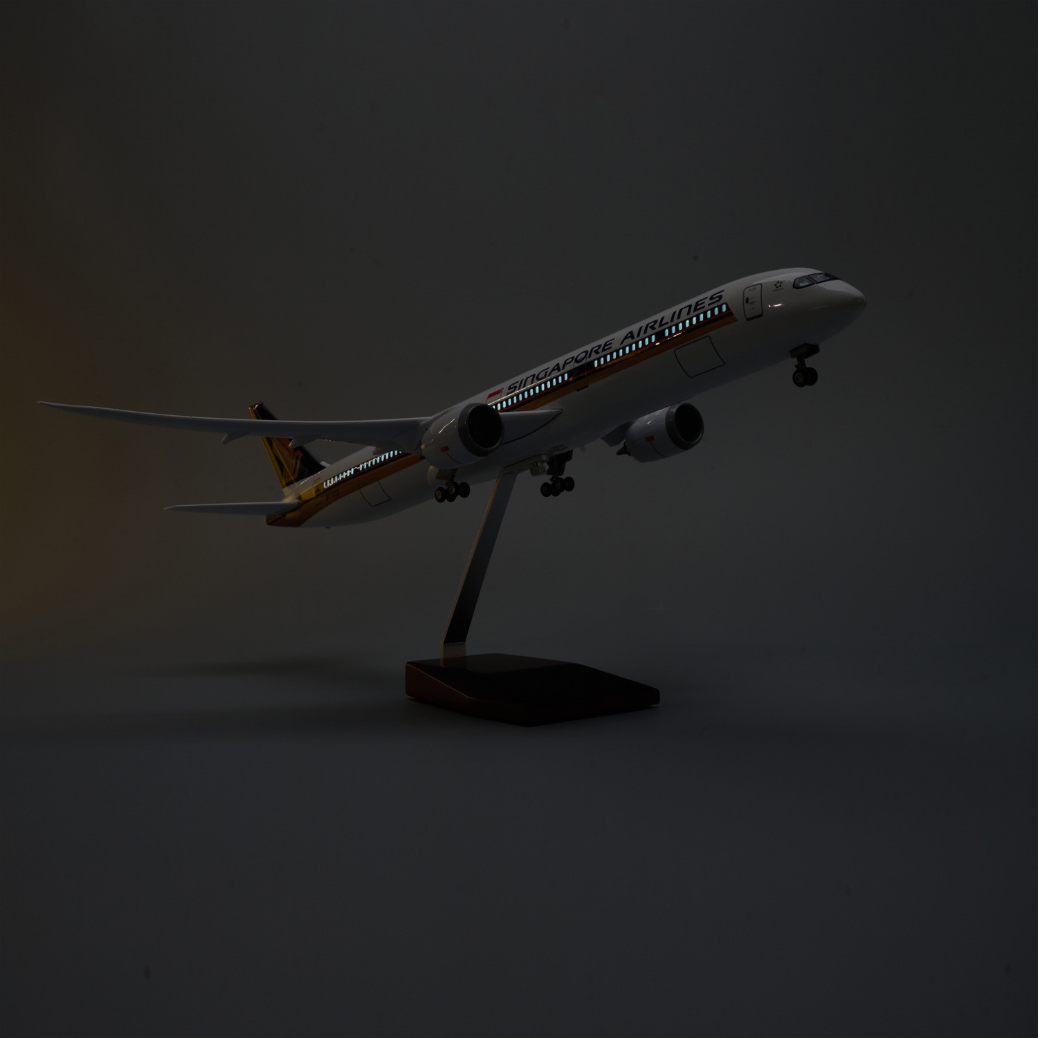 Modelo de Avión de Resina Fund - Model Kit Singapore reseña y precio