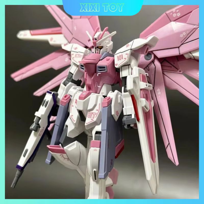 JMS HG 1/144 ZY-06 Freedom Ass - Gundam Model Mg reseña y precio