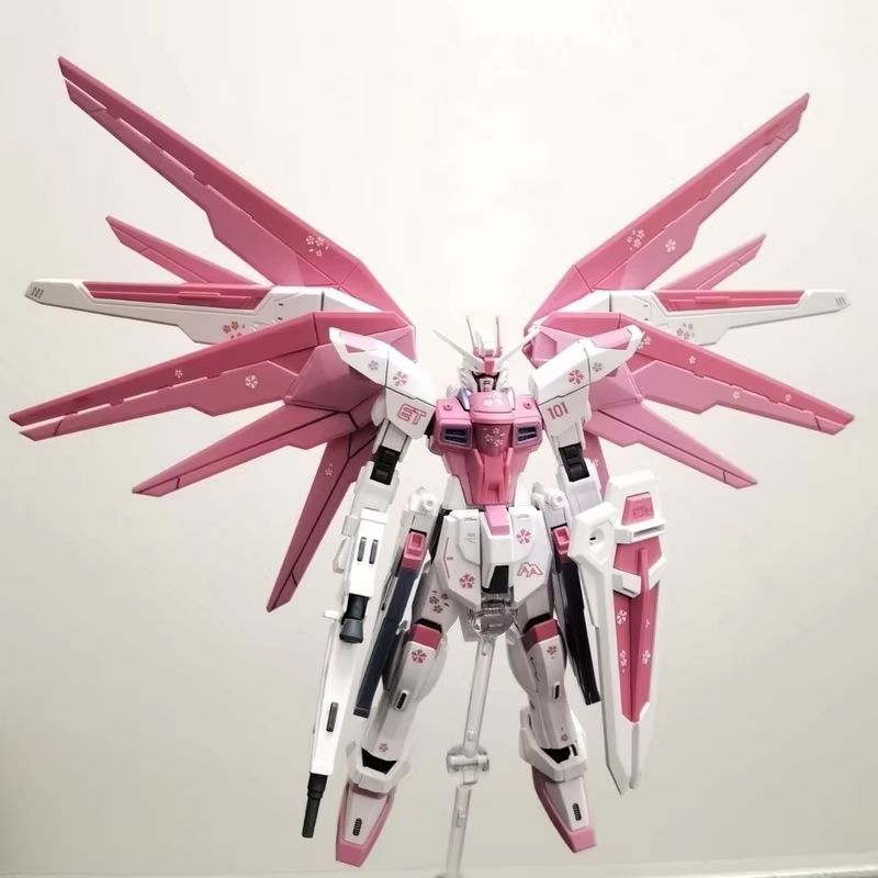 JMS HG 1/144 ZY-06 Freedom Ass - Gundam Model Mg reseña y precio