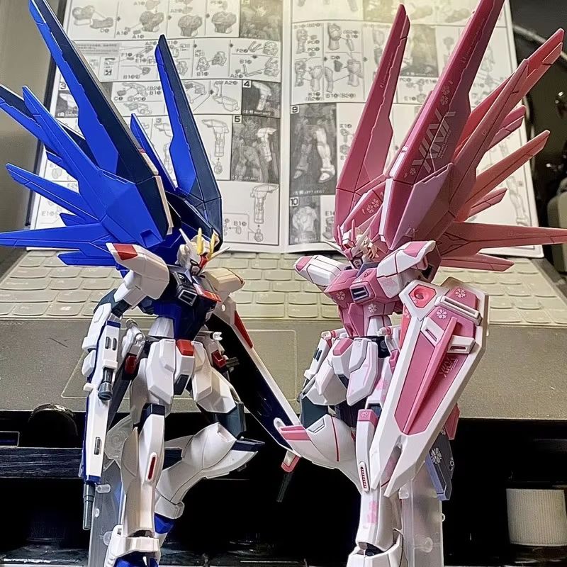 JMS HG 1/144 ZY-06 Freedom Ass - Gundam Model Mg reseña y precio