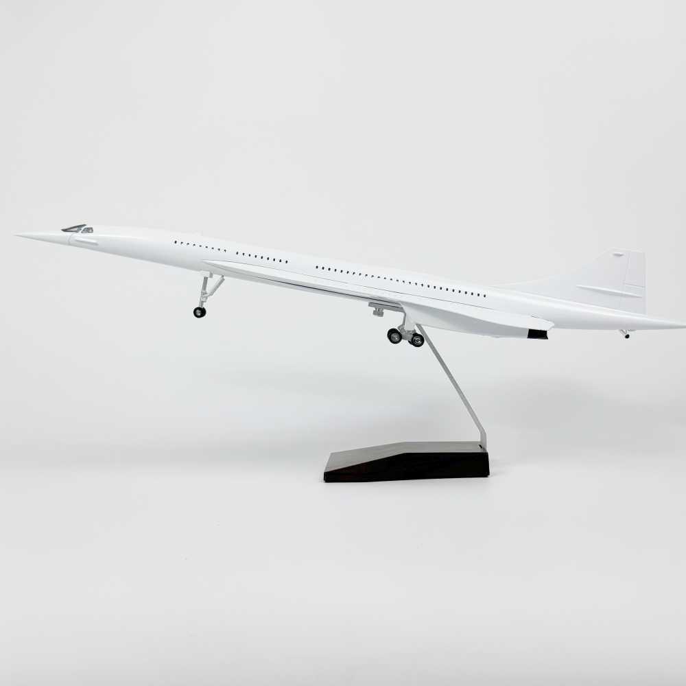 Kit de Modelo de Avión en Blan - Model Kit Manual reseña y precio
